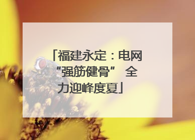 福建永定：电网“强筋健骨” 全力迎峰度夏
